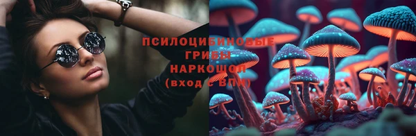 винт Елабуга