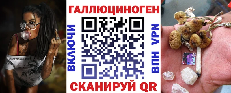 Галлюциногенные грибы Psilocybe  Печоры 